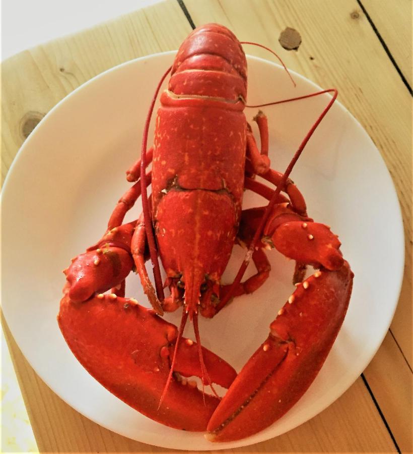 St Awaries Studio, Carne Rosslare Harbour Zewnętrze zdjęcie