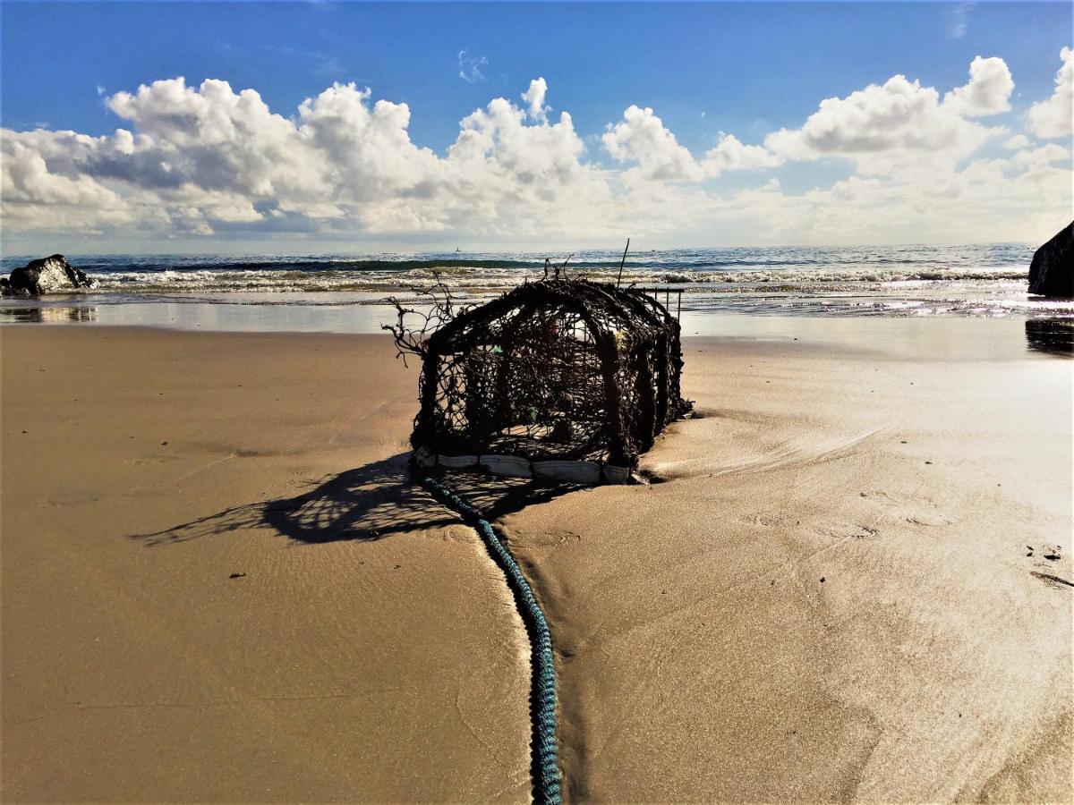 St Awaries Studio, Carne Rosslare Harbour Zewnętrze zdjęcie
