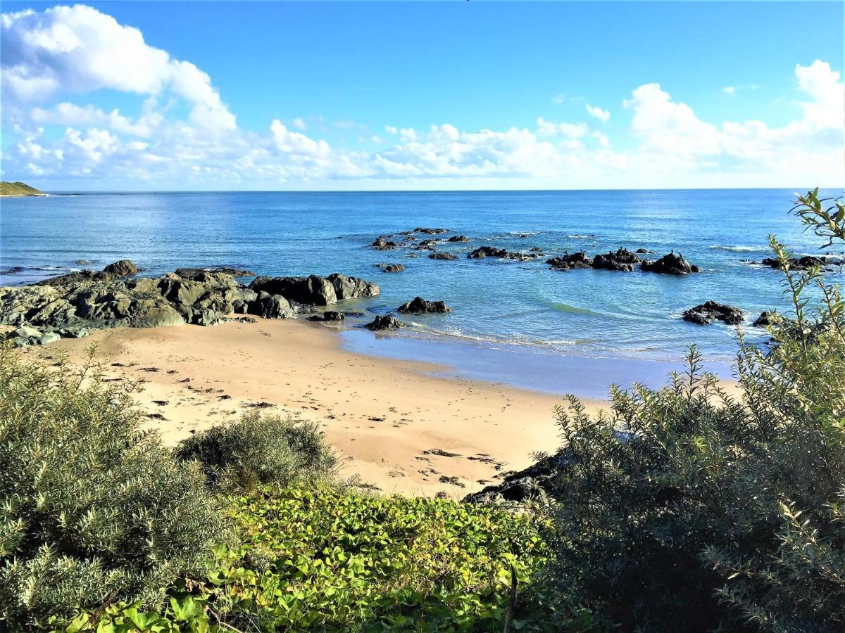 St Awaries Studio, Carne Rosslare Harbour Zewnętrze zdjęcie